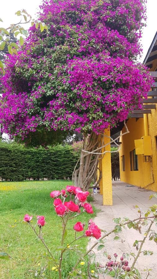 拉塞雷纳 Casa Felice旅馆 外观 照片