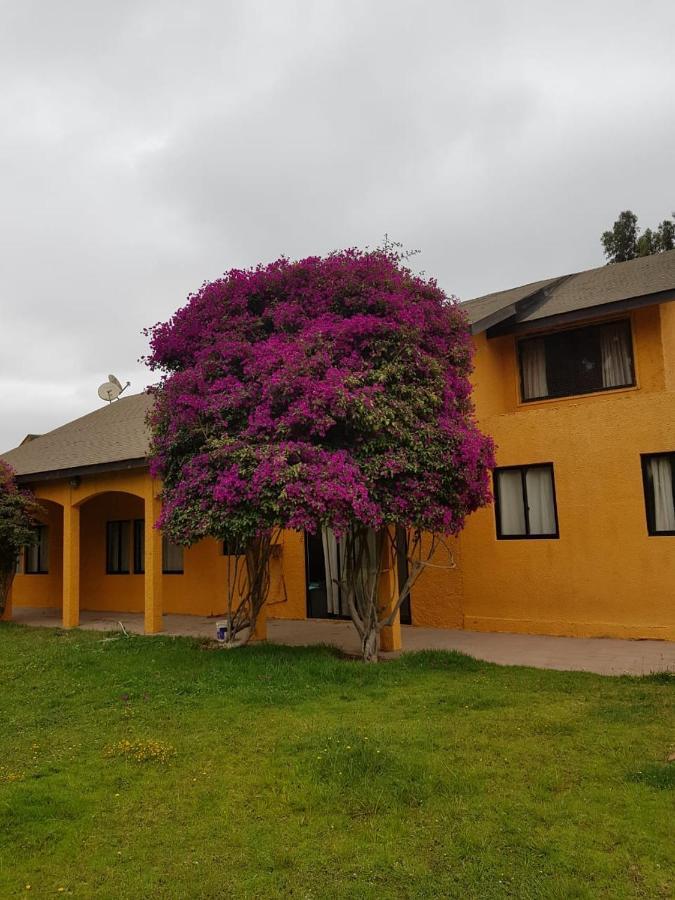 拉塞雷纳 Casa Felice旅馆 外观 照片